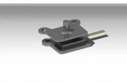 Mold