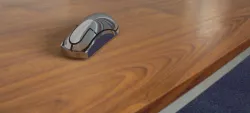 Mouse