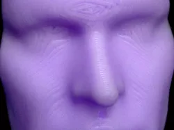 My Face Scanned