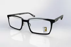Optical frame
