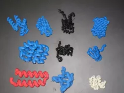 Protein domains