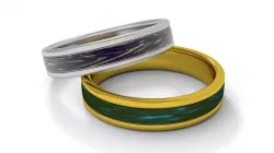 Ring deep meaning 3D model