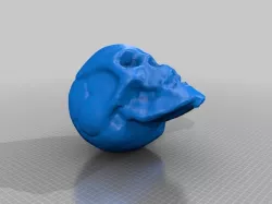 Skull Scan