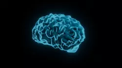 3D Brain - sci fi shader 3D model