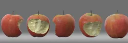 apple Apple bitten One 3D model