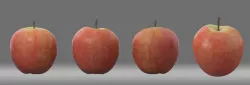 apple fruit 3D model