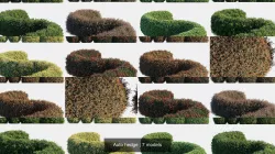 Auto hedge 3D Model Collection