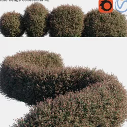 Auto hedge collections 2 3D model