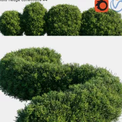 Auto hedge collections 4 3D model