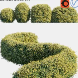 Auto hedge collections 5 3D model