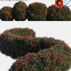 Auto hedge collections 6 3D model