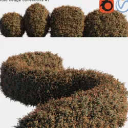Auto hedge collections 7 3D model