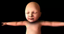 born baby 3d model 3D model