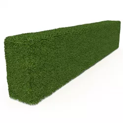 Boxwood Rectangle 3D model