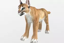 Caracal Low-poly  3D model