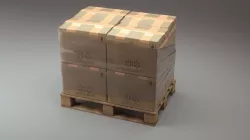 cardboard 3D model