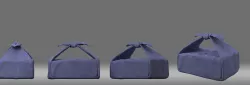 cartoon parcel package  3D model
