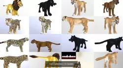 Cat Collection 