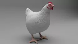 Chicken 3D model
