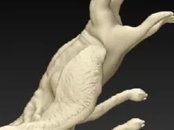 chimera