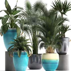 Collection of Exotic Plants 394 3D model