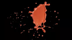 Collided Water Drop 3D model