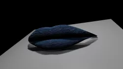 Denim Lips 3D model