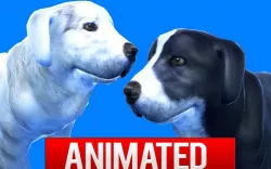 Dog 3D model 3D model
