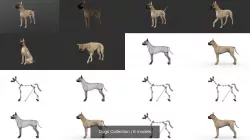 Dogs Collection 