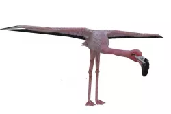 Flamingo Low-poly  3D model