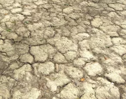 Ground terrain desert PBR pack 2 Texture