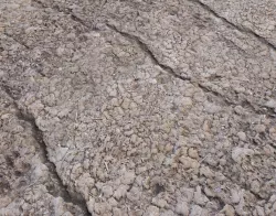 Ground terrain desert PBR pack 4 Texture