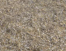 Ground terrain rough forest PBR pack 1 Texture