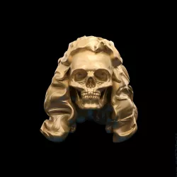 Hairy Skull sculpted model 3D model