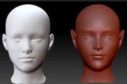 Head base model 3D model