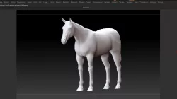 Horse 3D model