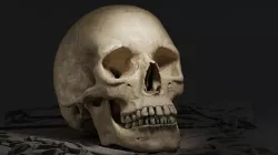 Human Skull Low-poly  3D model