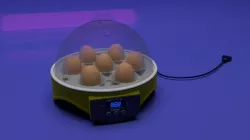 Incubator 3D model