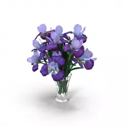 Iris Bouquet Flower 3D model