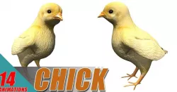 Little Chick Low-poly  3D model