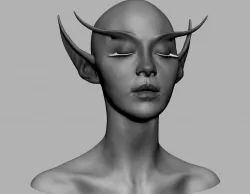 Night Elf 3D model