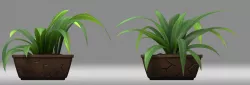Potted plant plant houseplant 3D model
