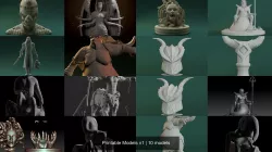Printable Models v1 3D Model Collection