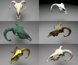 Ram Skull 3D model with six texture maps 3D model