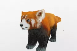 Red Panda Low-poly  3D model