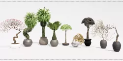 Set 09 Plants Revit High Quality 3D models 3D model