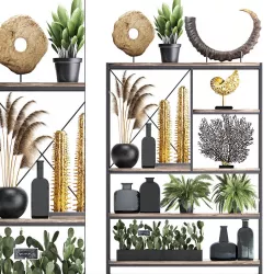 Shelf with reeds and plants coral decor 3D model