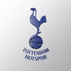 Tottenham Hotspur Football Club FC 3D LOGO Low-poly  3D model