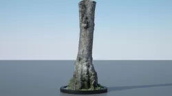 Tree Trunk - 11 3D model