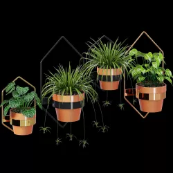 Wall planters hexagon 3D model